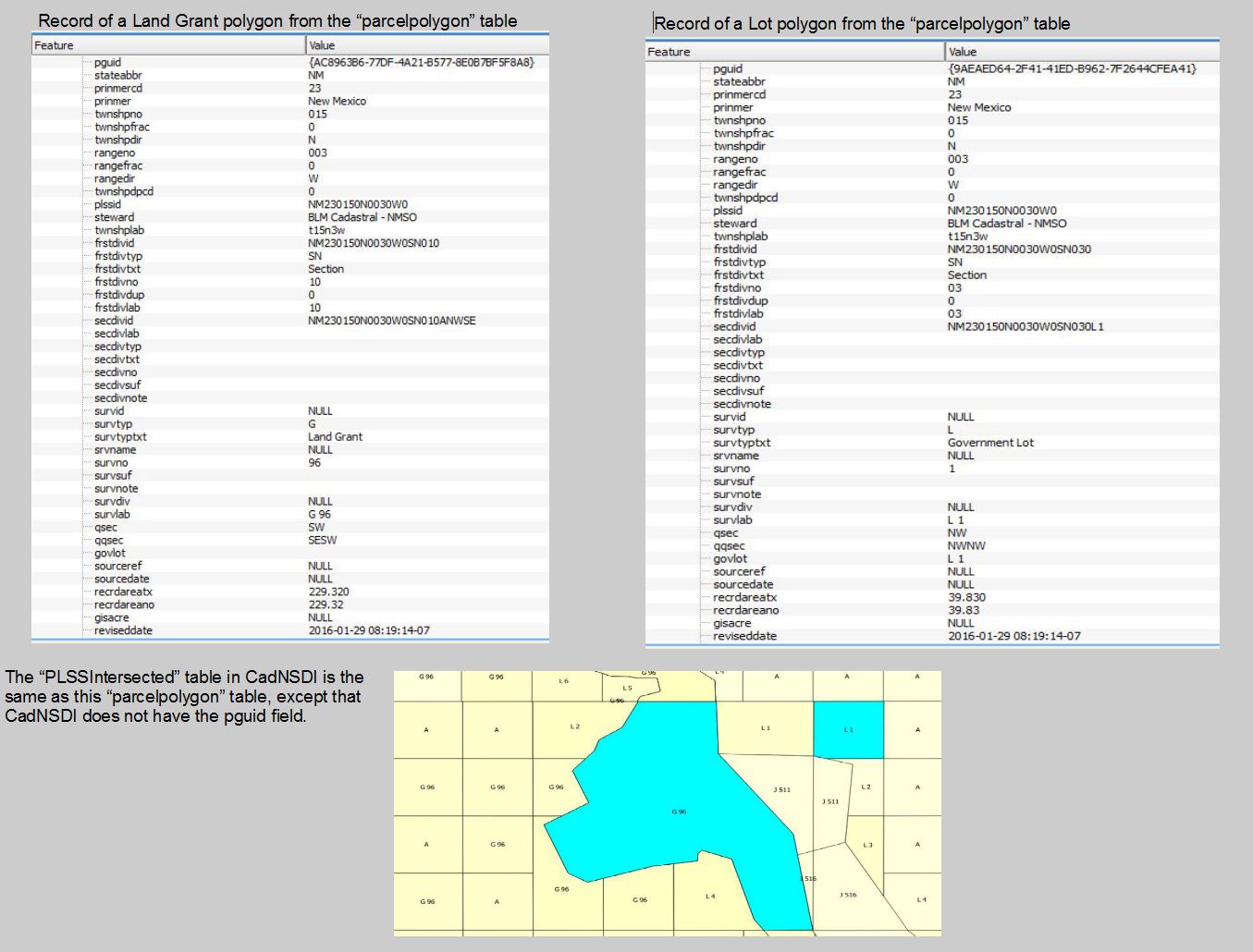 Parcel polygon attributes